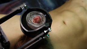 BDSM (Bondage Dominação Sadismo Masoquismo) 